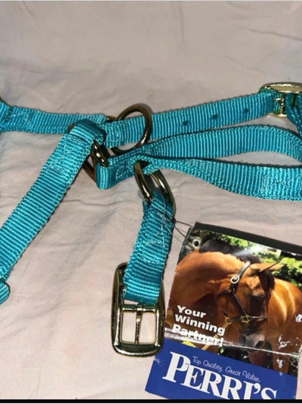 Perri's turquoise nylon horse halter